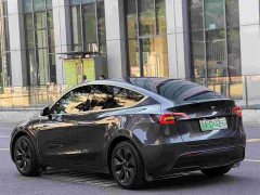 Tesla Model Y Rear-Wheel Drive - ფოტო 3