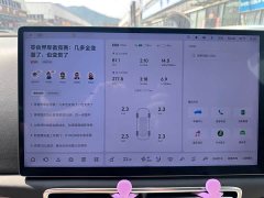 Li Auto L6 Pro Smart Refresh Edition - ფოტო 7