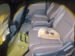 Wuling Starlight 730 New Energy 2025 PHEV 125km Luxury - ფოტო 11