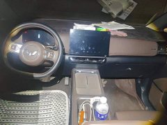 Wuling Starlight 730 New Energy 2025 PHEV 125km Luxury - ფოტო 12