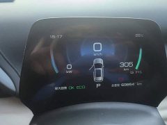 BYD Yuan Plus Glory Edition 430KM Leading - ფოტო 14