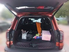 Great Wall Dachshund 2021 1.5T DCT Two-Wheel Drive Border Collie Edition - ფოტო 20