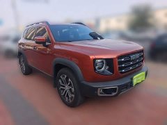Great Wall Dachshund 2021 1.5T DCT Two-Wheel Drive Border Collie Edition - ფოტო 3