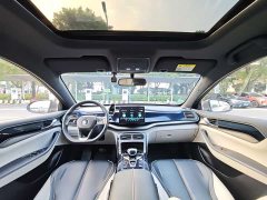 BYD Qin Plus 2021 DM-i 120KM Luxury - ფოტო 6