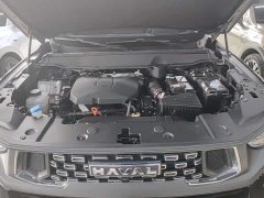 Haval Big Dog PLUS 2023 2.0T Two-Wheel Drive Trendy Wilderness Edition Plus - ფოტო 10