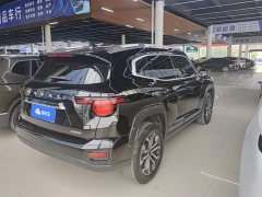 Haval Big Dog PLUS 2023 2.0T Two-Wheel Drive Trendy Wilderness Edition Plus - ფოტო 3