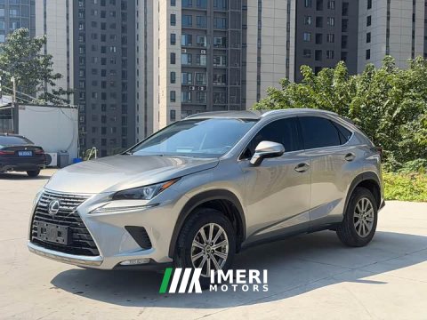 2021 Lexus NX 2020 200 FWD Sharp Edition National VI - ავტომობილი ჩინეთიდან