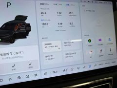 Li Auto L7 MAX - ფოტო 18