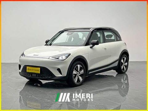 2025 Smart Spirit #1 2024 Agile Standard Edition - ავტომობილი ჩინეთიდან