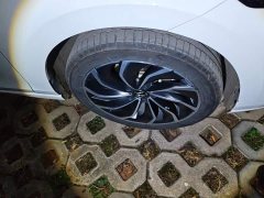 Volkswagen Golf 2024 280TSI DSG Pro 50th Anniversary Legend Edition - ფოტო 6