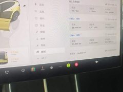 Tesla Model Y L Long Range All-Wheel Drive - ფოტო 14