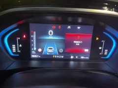 Ford Focus Sedan EcoBoost 180 Automatic ST Line - ფოტო 14