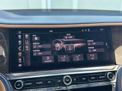 Bentley Flying Spur 2020 6.0T W12 Standard Edition - ფოტო 16