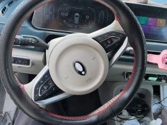 ORA Good Cat 400km Standard Range Athena Edition Ternary Lithium - ფოტო 15