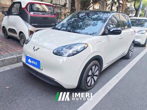 2023 Wuling Binguo 333km Lingxi Connected Plus