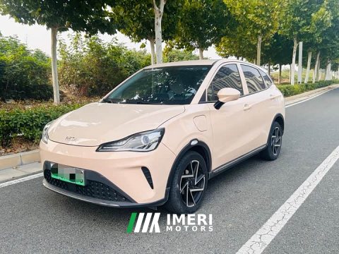 2023 Neta AYA 401 - ავტომობილი ჩინეთიდან