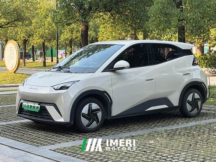 BYD Seagull 2023 Vitality Edition - ავტომობილი ჩინეთიდან