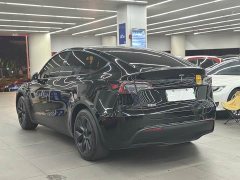 Tesla Model Y 2023 Rear-Wheel Drive - ფოტო 6