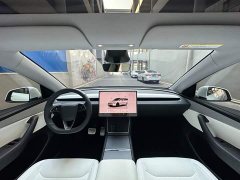 Tesla Model Y Rear-Wheel Drive - ფოტო 11