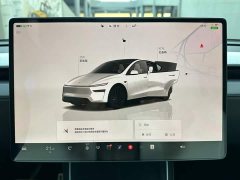 Tesla Model Y Rear-Wheel Drive - ფოტო 13