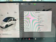 Tesla Model Y Rear-Wheel Drive - ფოტო 14