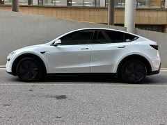 Tesla Model Y Rear-Wheel Drive - ფოტო 3