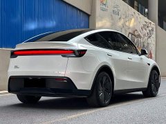Tesla Model Y Rear-Wheel Drive - ფოტო 5