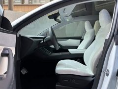 Tesla Model Y Rear-Wheel Drive - ფოტო 9