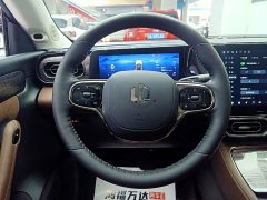 Leapmotor C11 2021 Facelift Luxury - ფოტო 18