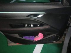 Geely S 2.0TD DCT2WD Edition - ფოტო 7
