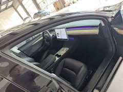 Tesla Model 3 Performance All-Wheel Drive - ფოტო 13