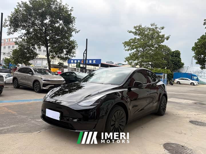 Tesla Model Y Rear-Wheel Drive