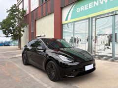 Tesla Model Y Rear-Wheel Drive - ფოტო 3