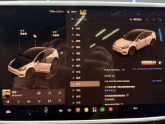 Tesla Model Y 2023 Rear-Wheel Drive - ფოტო 12