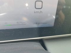 BYD Qin L DM-i 120KM Leading Edition - ფოტო 8