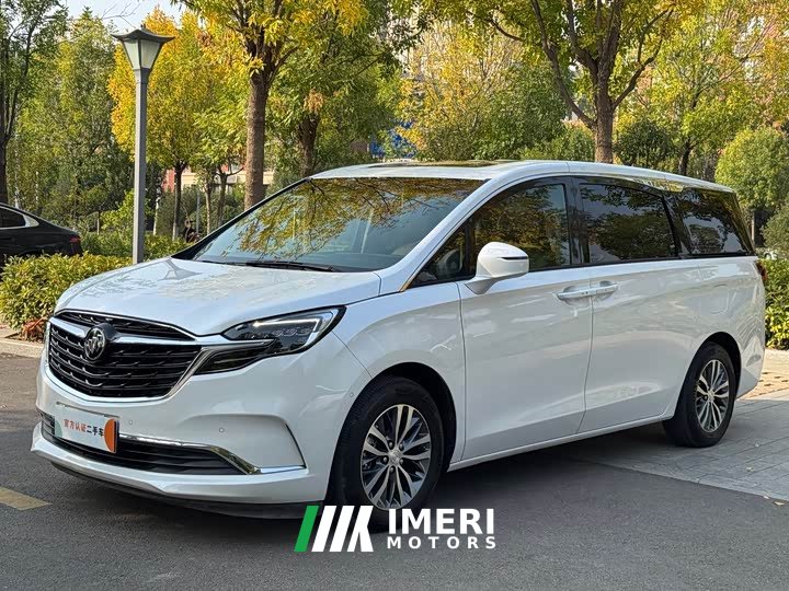 Buick GL8 ES Land Respect 653T Respect Enjoyment Edition - ავტომობილი ჩინეთიდან