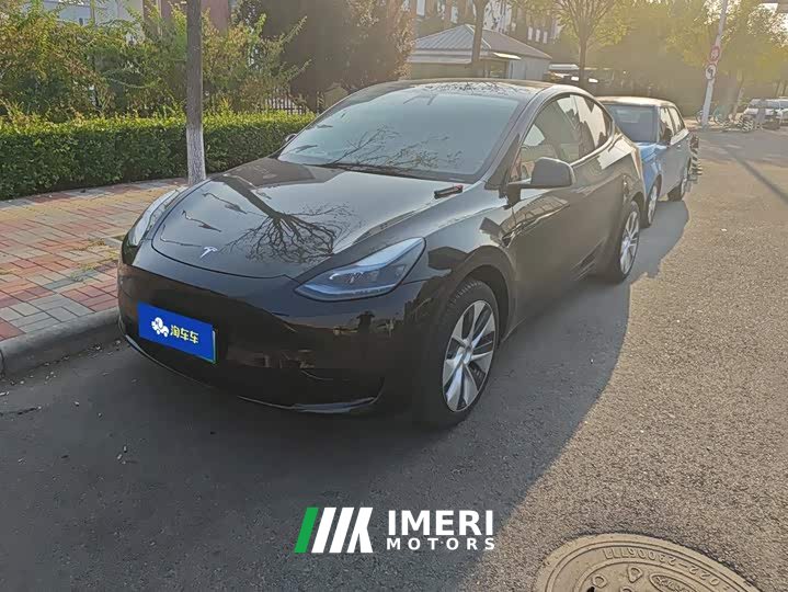 Tesla Model Y Rear-Wheel Drive