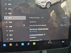 Tesla Model Y Rear-Wheel Drive - ფოტო 14