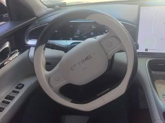 Geely Xing Yuan 310km Dream Edition - ფოტო 15