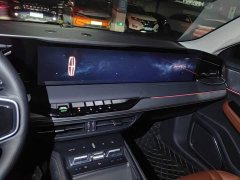 Lincoln Z 2.0T Premier - ფოტო 13