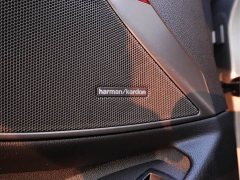 BMW 3 Series 330Li M Sport Night Edition Package - ფოტო 11
