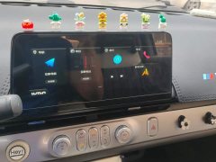 Changan Lumin 2023 301km Honey Fragrance Edition - ფოტო 13