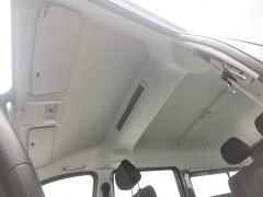 Golden Sea Lion 2.0L 9 - photo 14