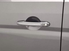 Golden Sea Lion 2.0L 9 - photo 18