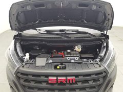 Golden Sea Lion 2.0L 9 - photo 6