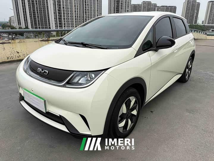 BYD Dolphin 2024 Glory Edition 420km Freedom Version - ავტომობილი ჩინეთიდან