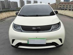 BYD Dolphin 2024 Glory Edition 420km Freedom Version - ფოტო 2