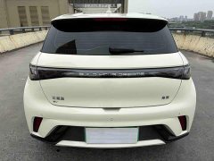 BYD Dolphin 2024 Glory Edition 420km Freedom Version - ფოტო 5
