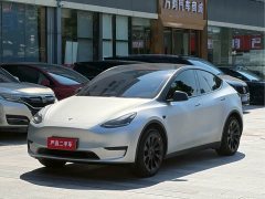Tesla Model Y Rear-Wheel Drive - ფოტო 1