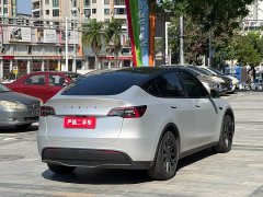 Tesla Model Y Rear-Wheel Drive - ფოტო 9